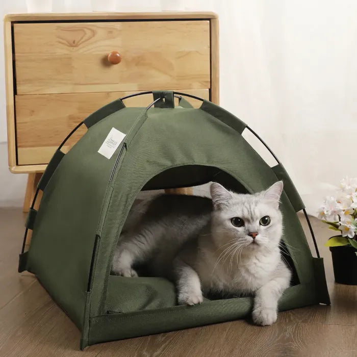 Cat tent
